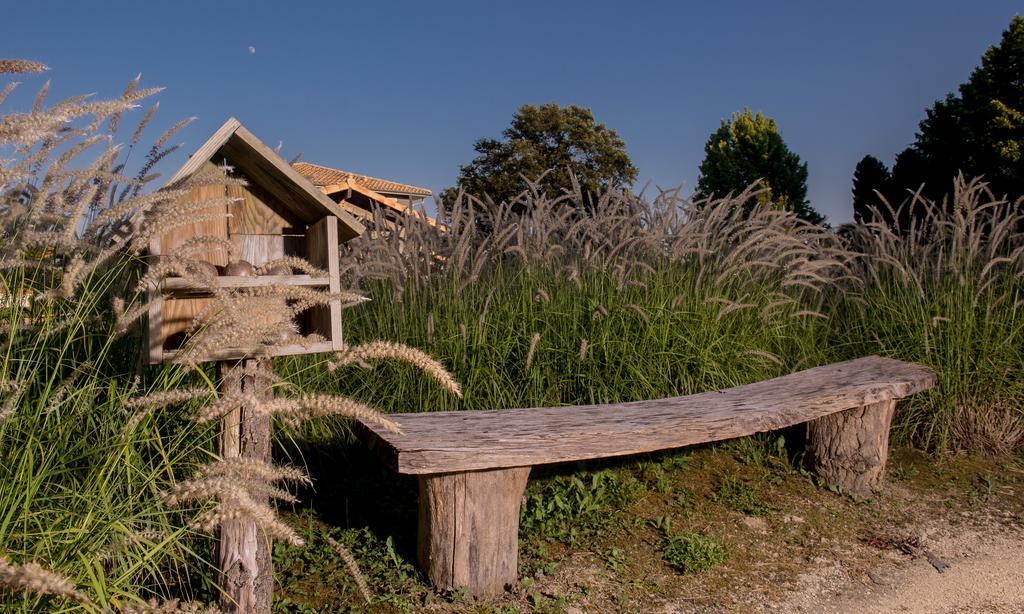La Petite Couronne, Ecolodge & Lofts Saint-Cricq-Chalosse Exterior photo